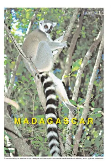 Madagascar, baobabs, lemures y leyendas