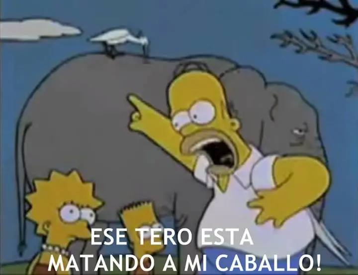 memes