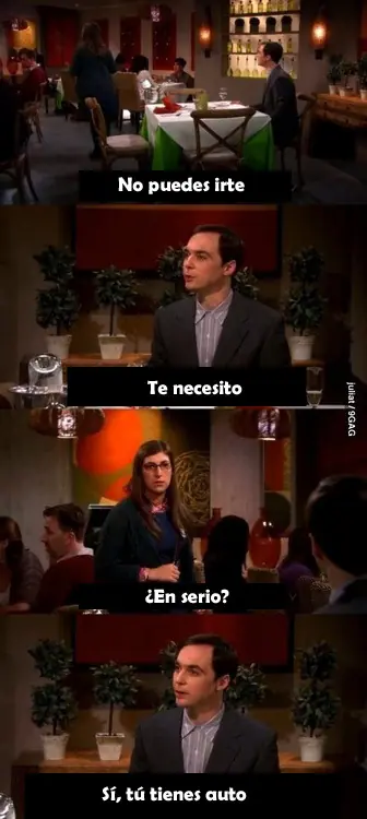 the big bang theory