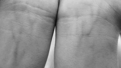 14 Hechos Que Deberían Ser De Público Conocimiento Pero No