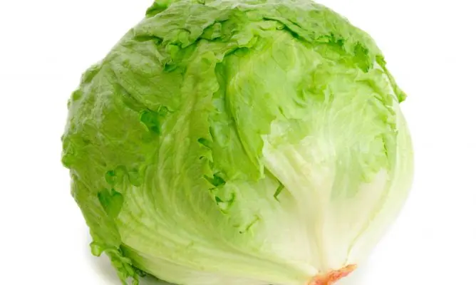 Las mentiras de las dietas veganas
