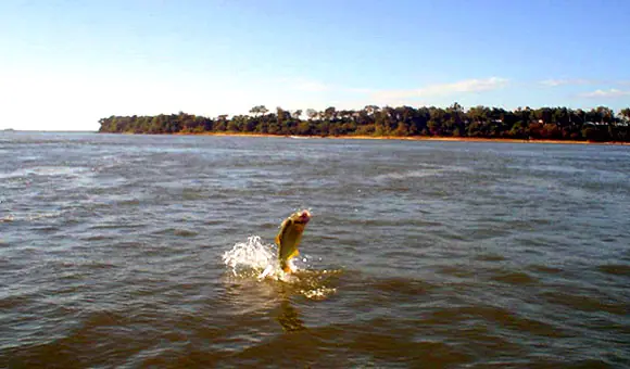 Corrientes, ¡lo mejor de Argentina!