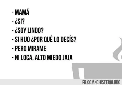 boludos