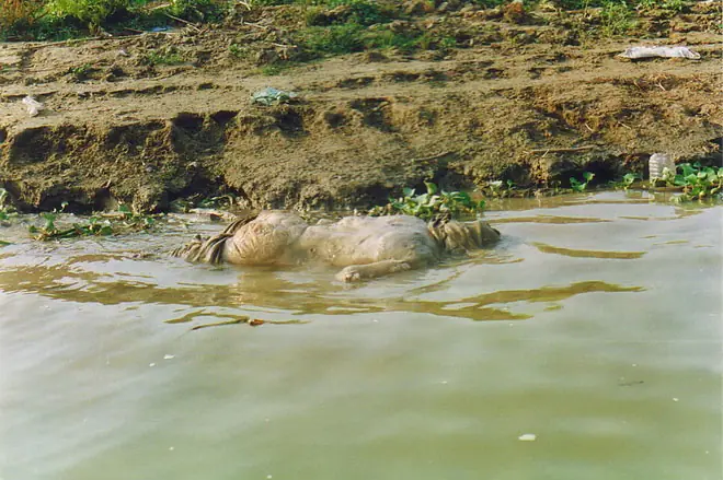Varanasí, muerte sagrada en el Ganges.