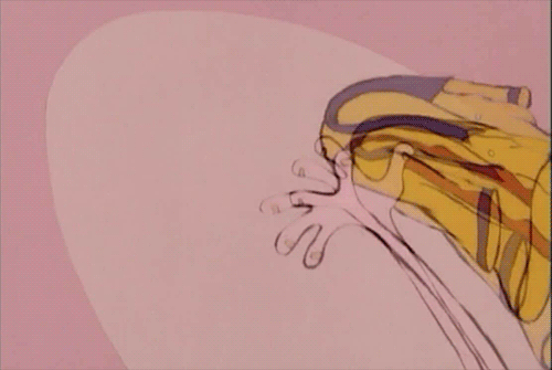 ed edd y eddy