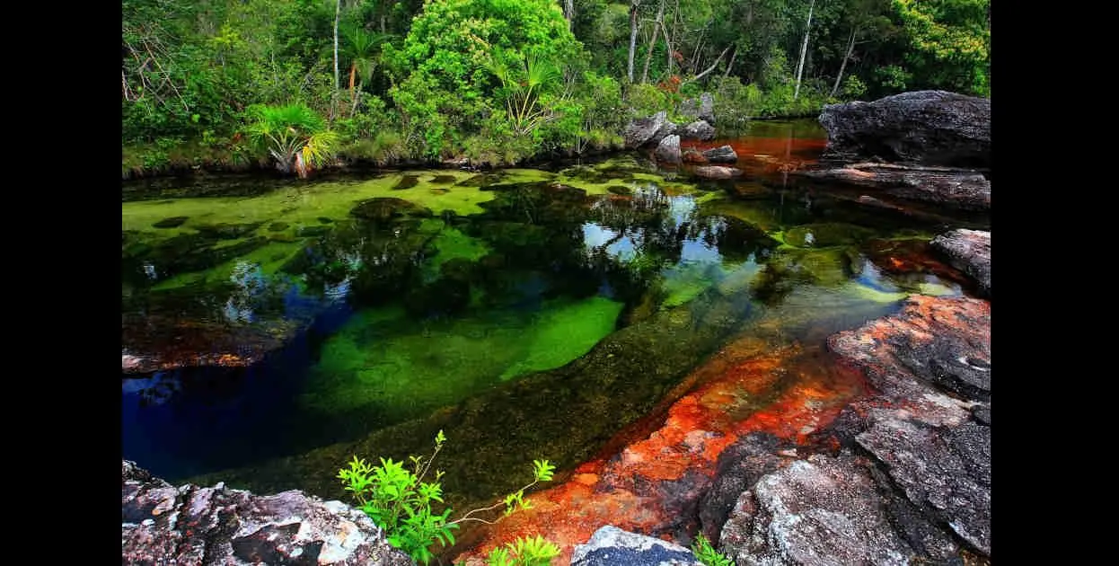 Colombia? No parce, pura droga no más.