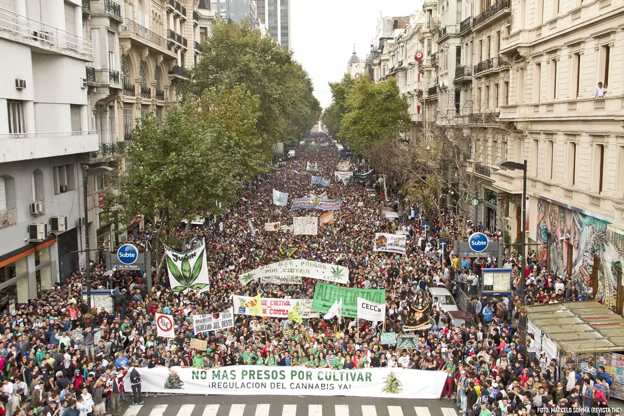 La prohibición de la marihuana ¿Tiene sentido?
