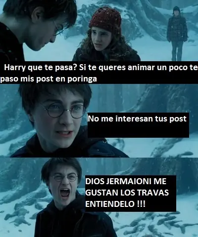 Harry Potter el taringuero