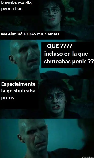 Harry Potter el taringuero