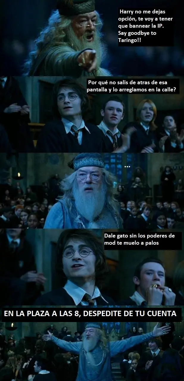 Harry Potter el taringuero