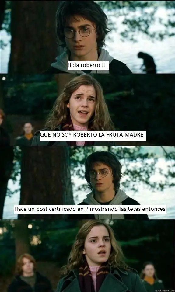 Harry Potter el taringuero