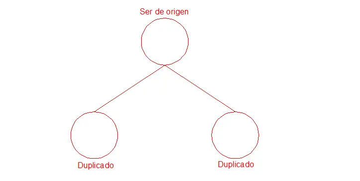 La verdad del planeta tierra