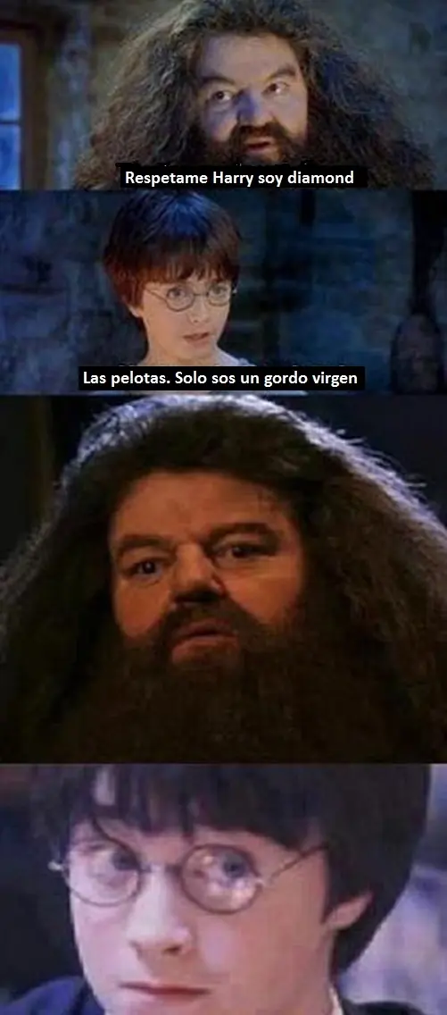 harry potter