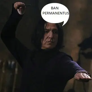 Harry Potter el taringuero