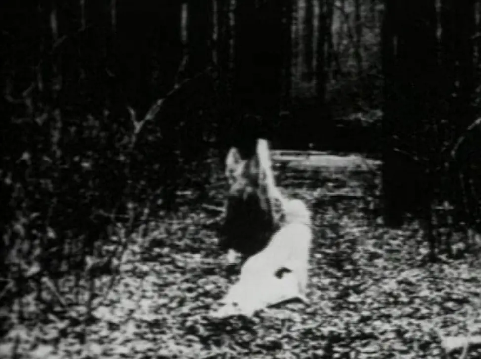 Begotten Begotten