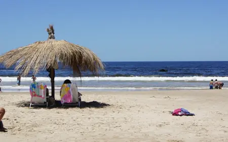 la paloma rocha