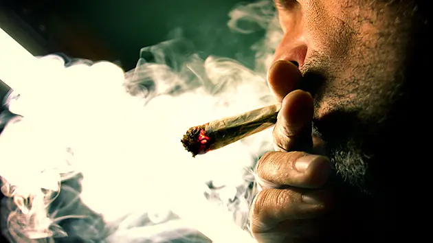 cannabis
