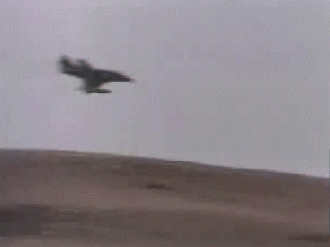 Peru estuvo listo para atacar a 