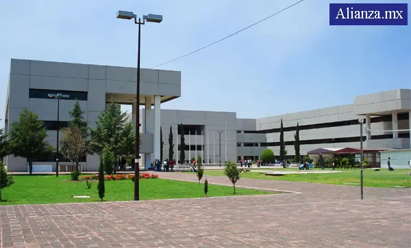 maquinola