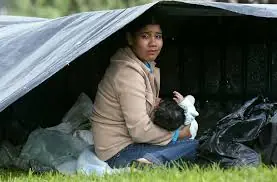desplazados desplazados