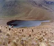 maravillas
