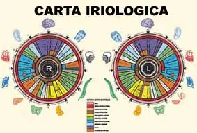 iriologia