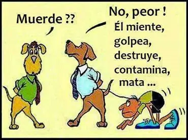 En un mundo paralelo