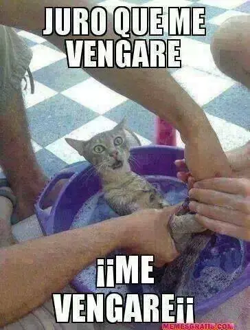 memes