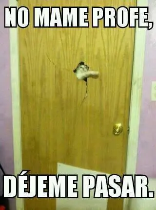 memes!!! :D diviertete un rato xD