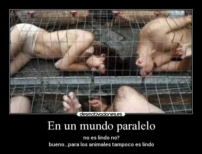 mundo