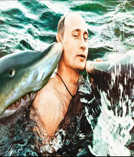 admiro al presidente admiro al presidente