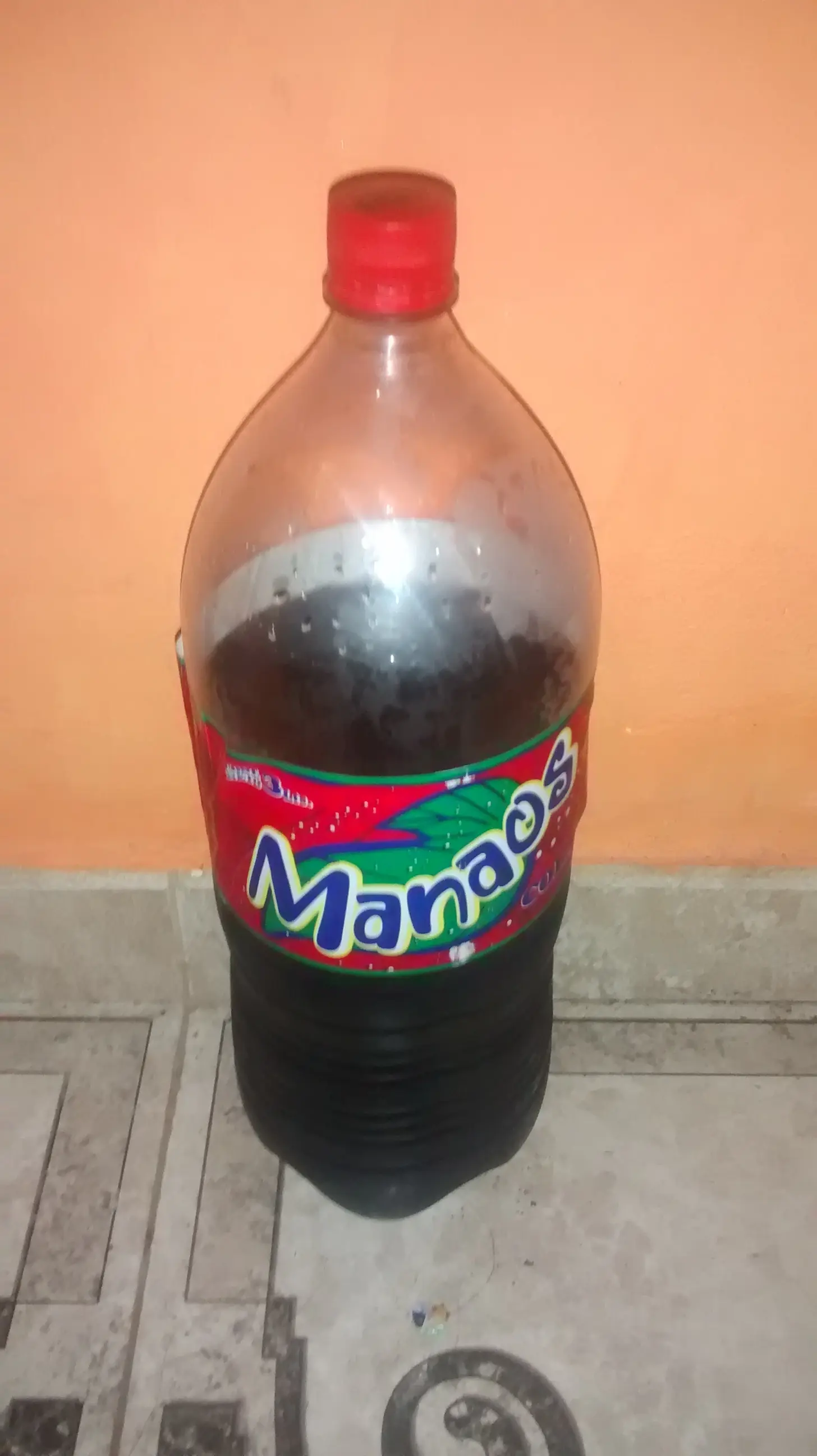 Mi odisea por una Manaos