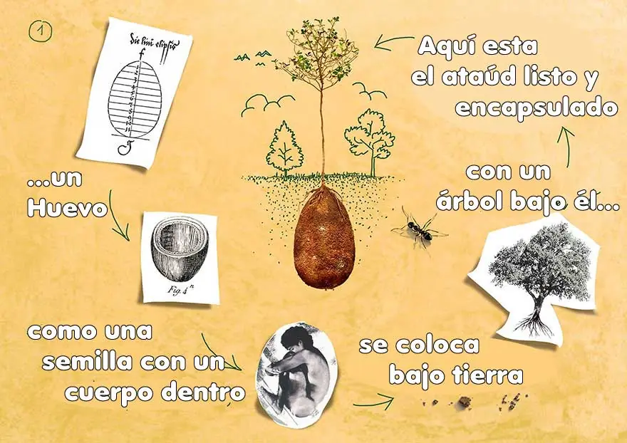 naturaleza