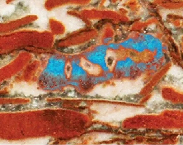 Las 50 cosas mas antiguas del mundo