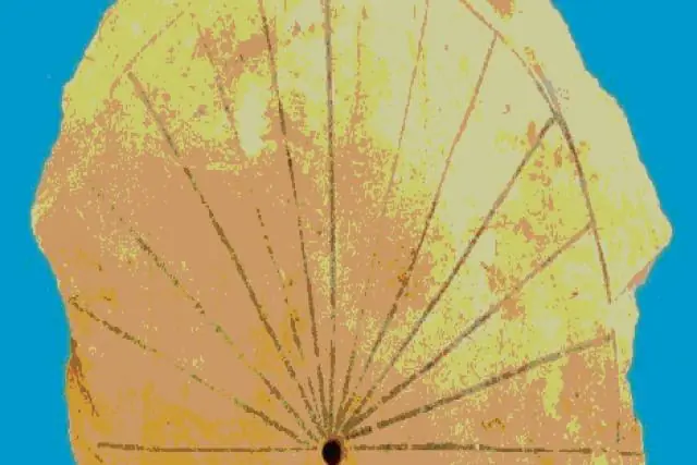 Las 50 cosas mas antiguas del mundo