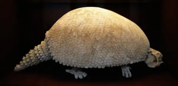 Animales extintos, podrían ser devueltos a la vida