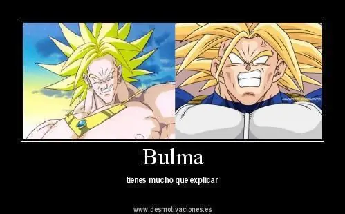 broly vs goku