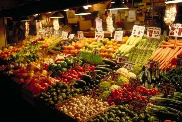 anti vegano anti vegano