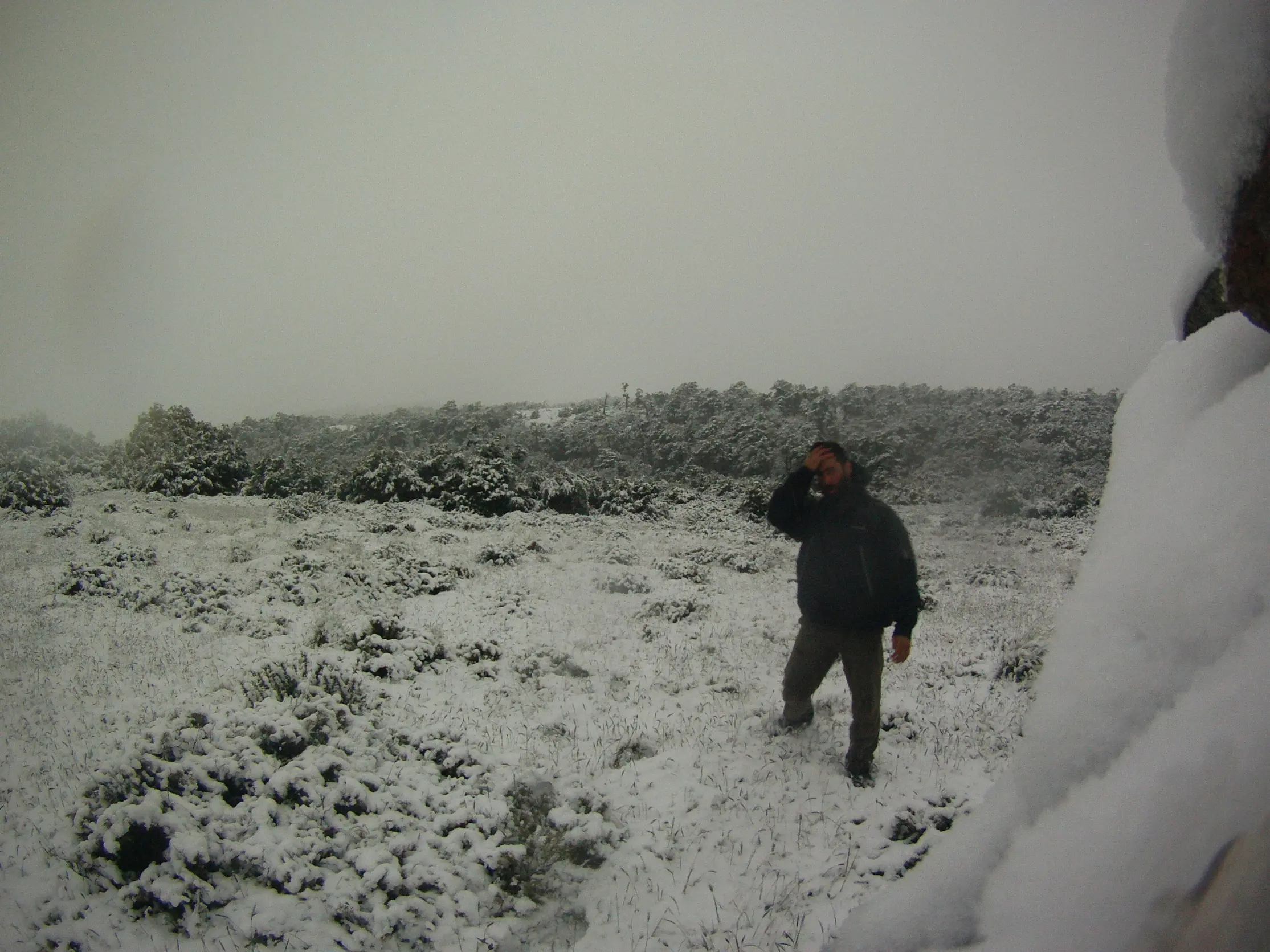 monte cochrane