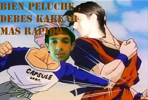 Te explico el problema de peluchin