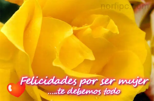 poemas