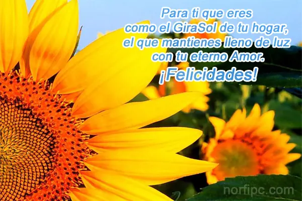 Un par de poemas, frases e imágenes para el dia de la mujer