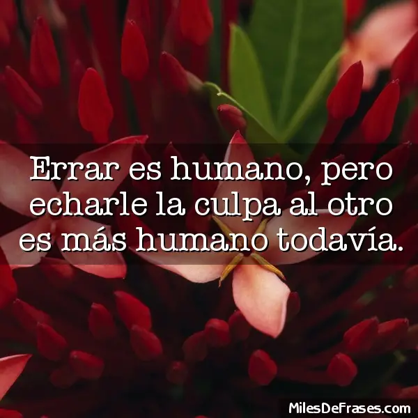 universidad