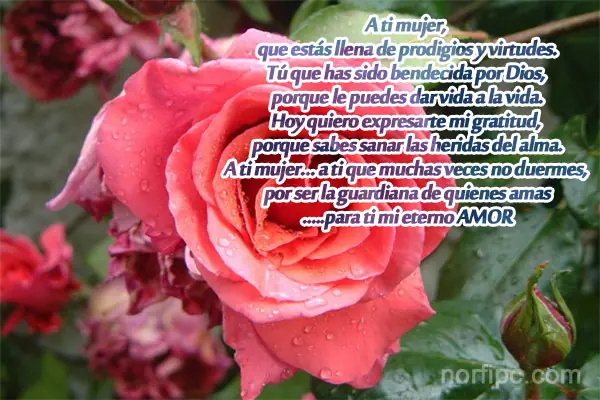 frases