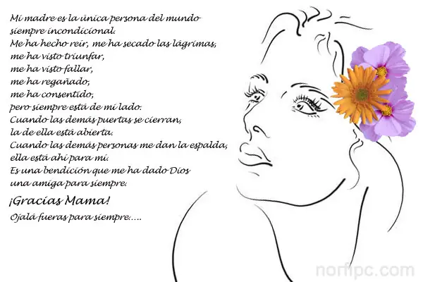 yo tambien me olvide
