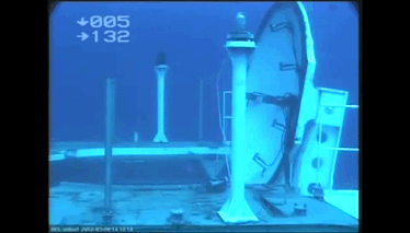 Gifs Sueltas Muy Seltas