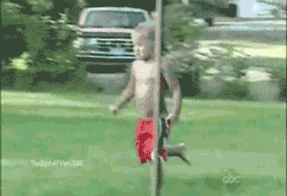 gif de humor