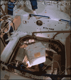 gifs