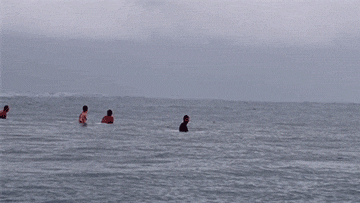 gif de humor