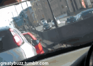 gif de humor